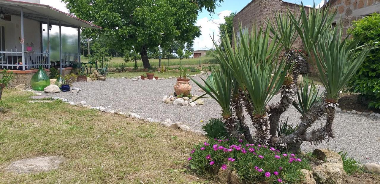 La Cascina Della Grotta Di Tufo Bed and Breakfast San Valentino  Exteriör bild